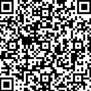 Zelle QR